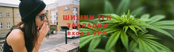 спайс Арсеньев