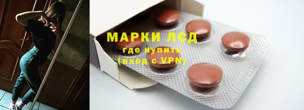 хмурый Аркадак