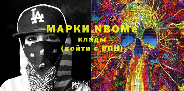 хмурый Аркадак