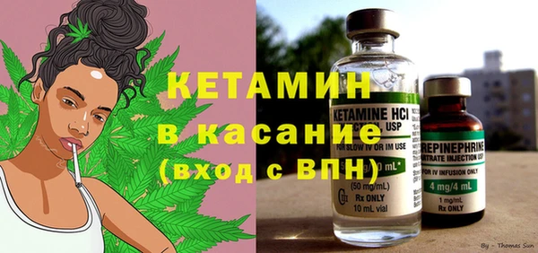 хмурый Аркадак