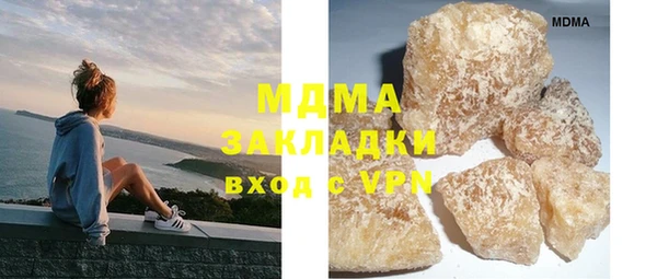 хмурый Аркадак